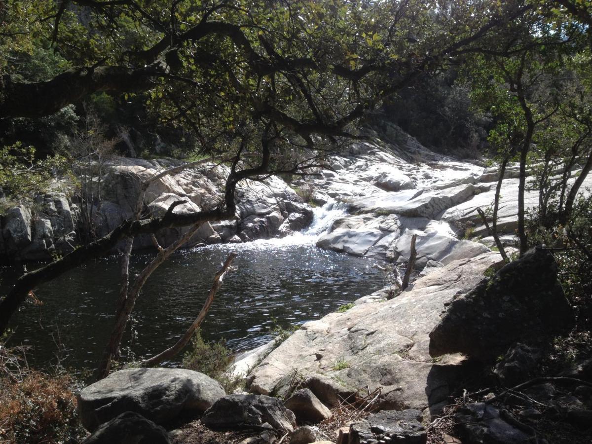 Sorède L'Abri La Vall المظهر الخارجي الصورة