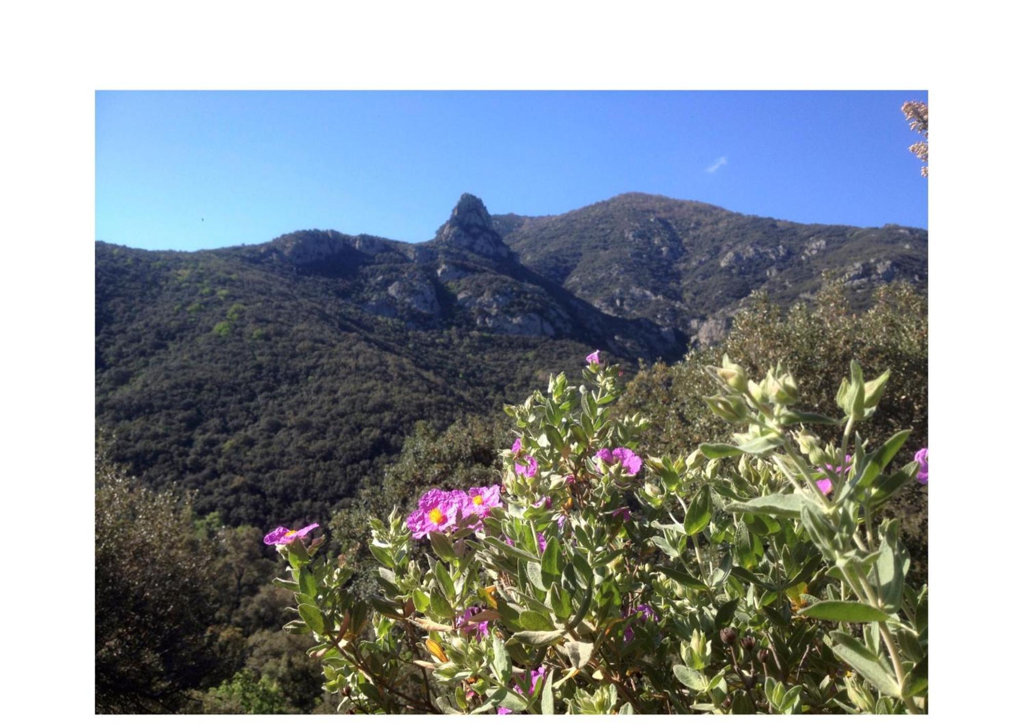 Sorède L'Abri La Vall المظهر الخارجي الصورة